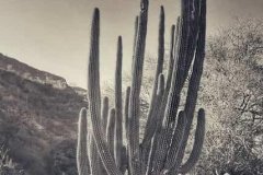 Gallery-3-min