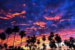 Gallery-5-min