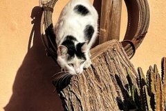 Gallery-7-min