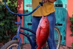 Mayra-Fish-min