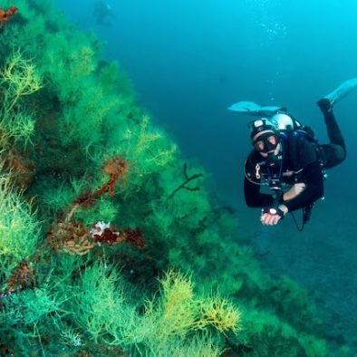 Loreto diving tour snorkeling boat trip mexico baja sur diving